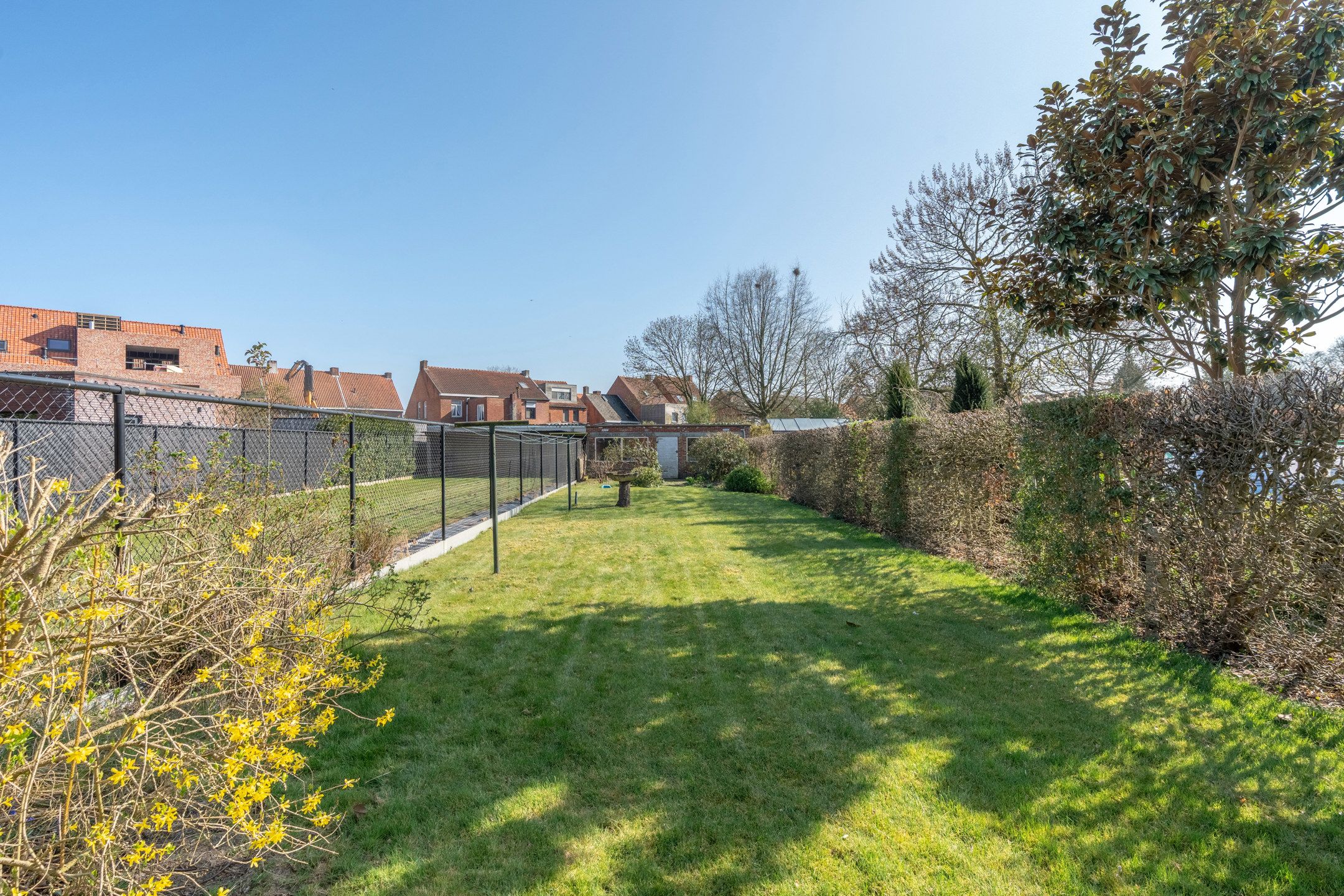 Charmante woning met 3 slaapkamers op 490 m²  foto 2