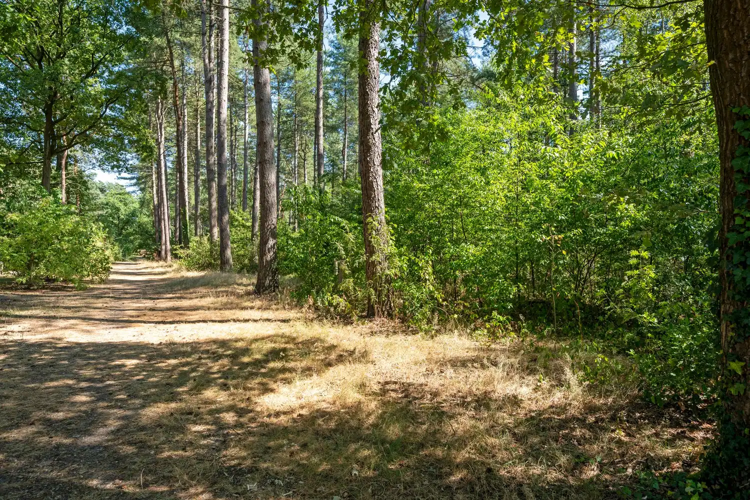 Unieke vakantiewoning in volle eigendom op een toplocatie aan de rand van het Nationaal Park Hoge Kempen foto 23