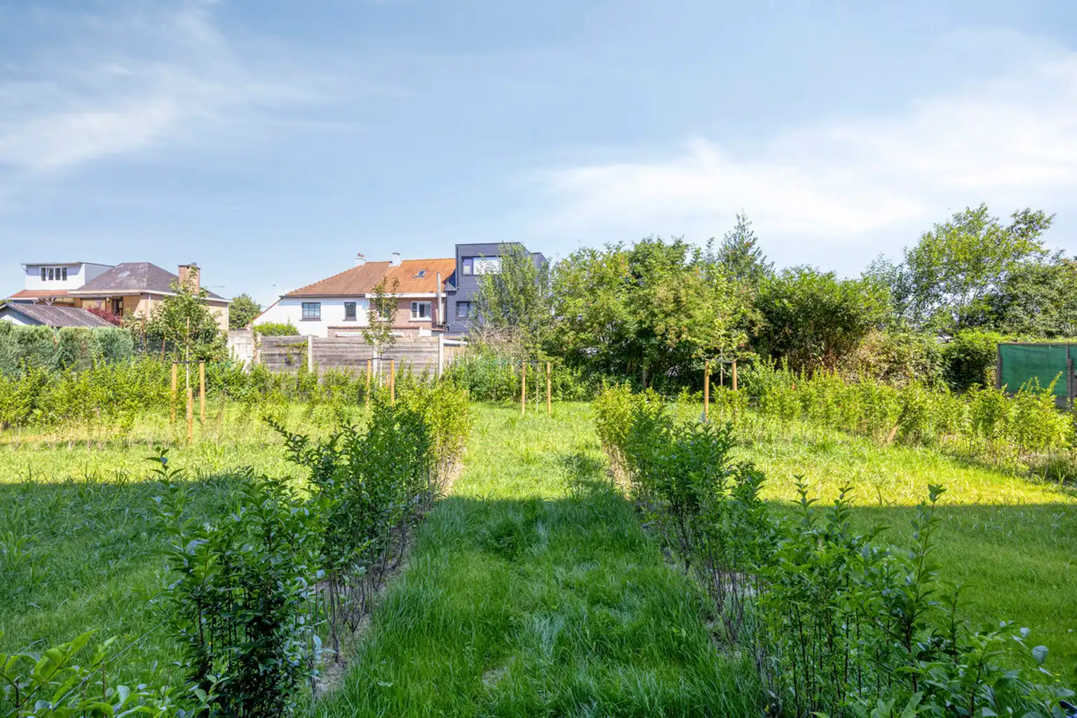 Energiezuinig nieuwbouwappartement 2 slaapkamers en terras foto 22
