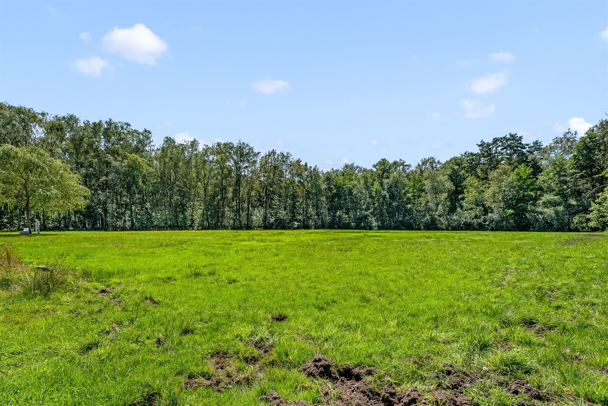 TE RENOVEREN WONING MET TAL VAN MOGELIJKHEDEN OP RUSTIG GELEGEN PERCEEL VAN 42 ARE TE ZOLDER foto 15