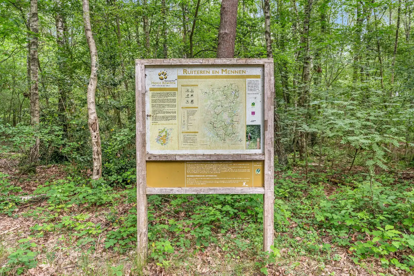 Authentiek horecapandje ideaal voor een healthy coffee-, lifestyle- en natuurconcept in het Dilserbos-Sparrendal. foto 33