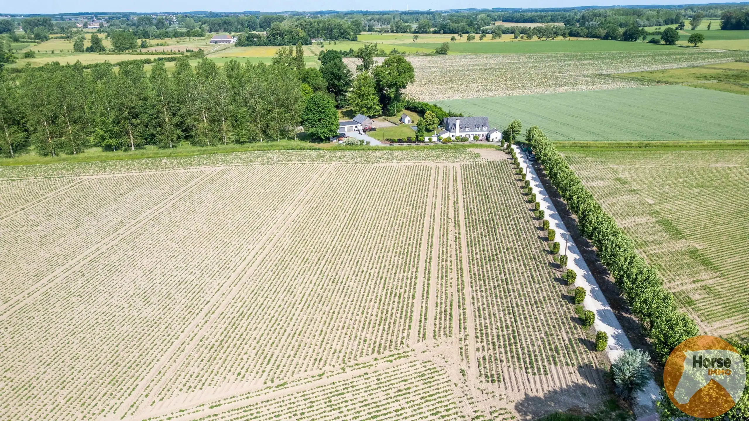 RUMMEN - Charmant landhuis op idyllische locatie op 1ha54 foto 3