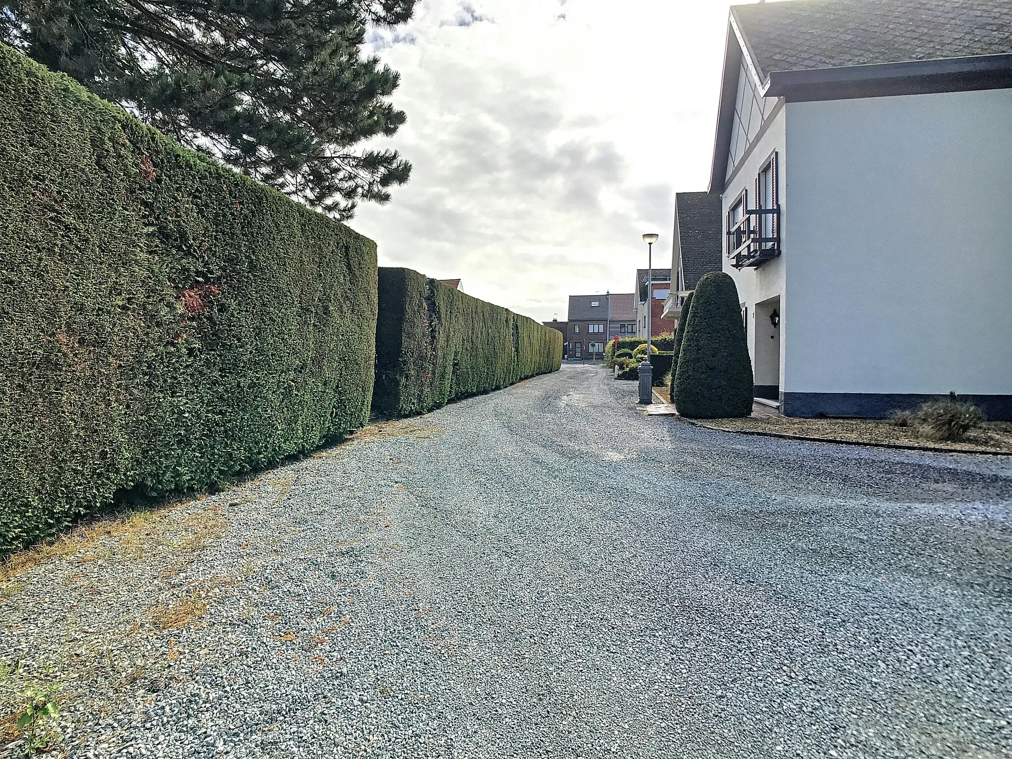 Ruime loods met wooneenheid in het centrum van Ruisbroek foto 13