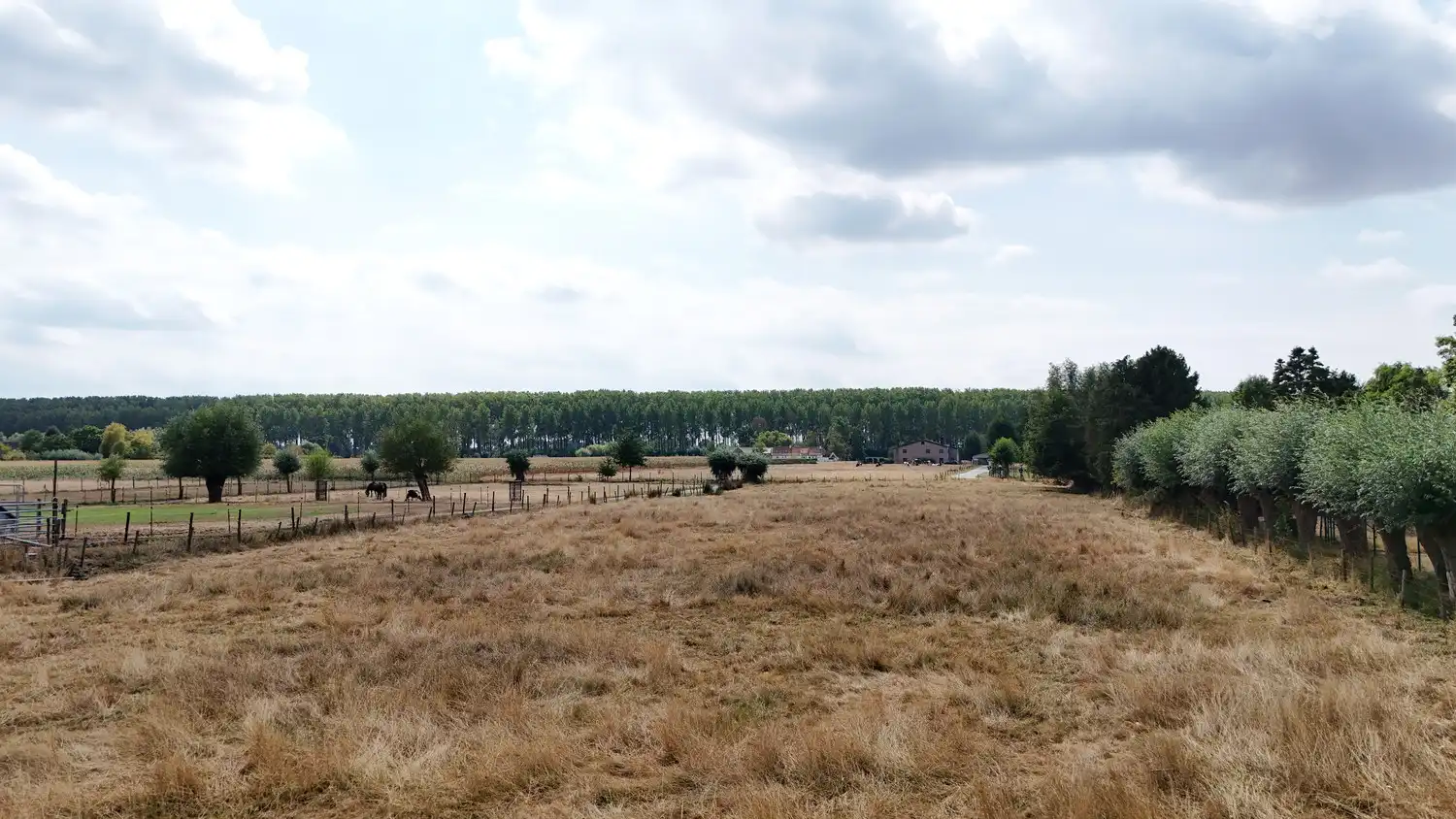 Uniek perceel bouwgrond op 5.908m² in Middelburg (B) foto 2