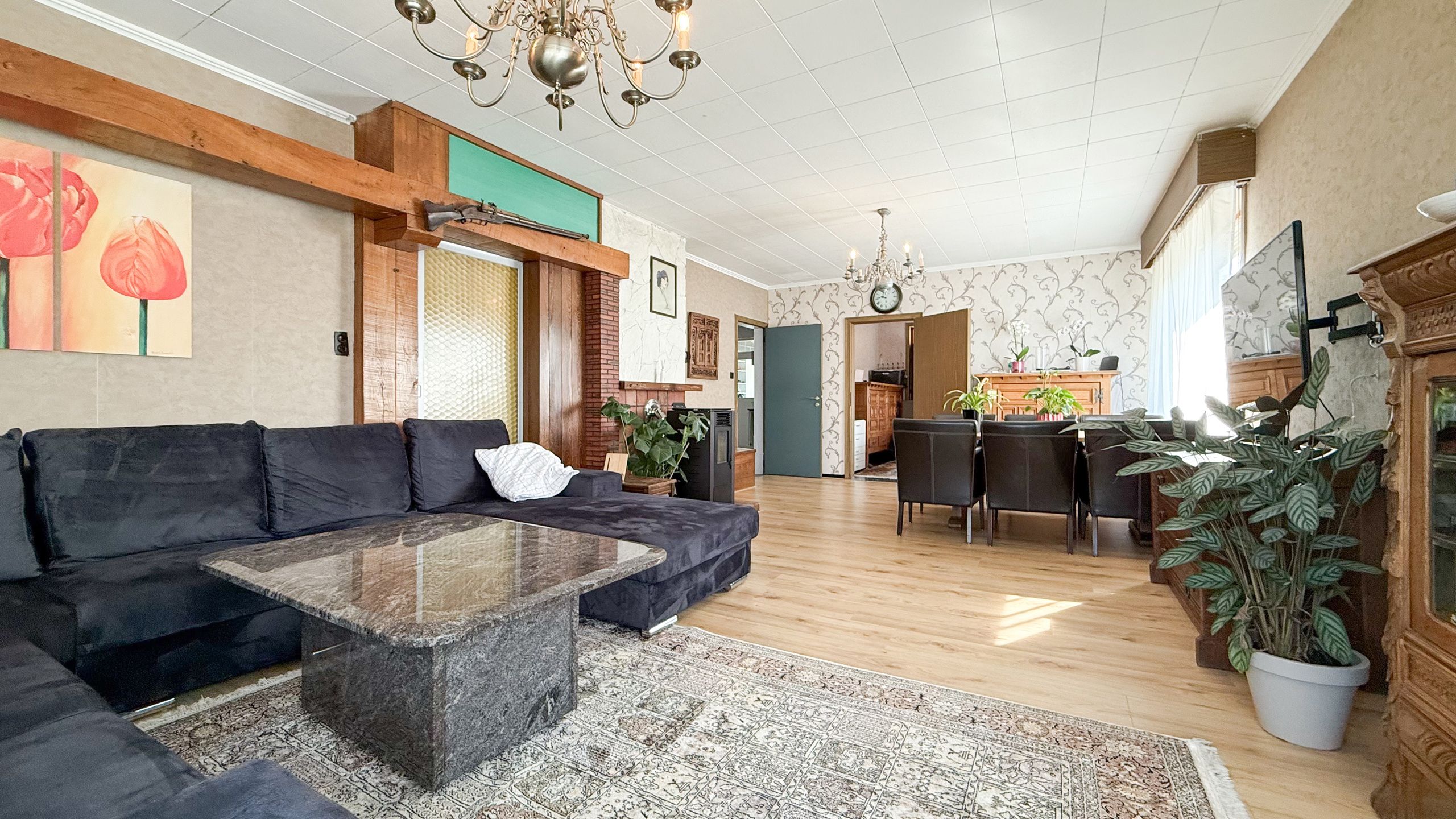 Vrijstaande woning met hangar en groot stuk grond-13.000m²! foto 3