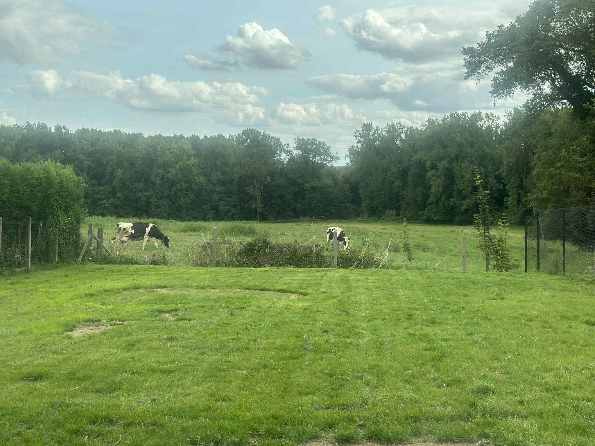 NIEUWBOUW OPEN BEBOUWING MET ZALIGE TUIN foto 4
