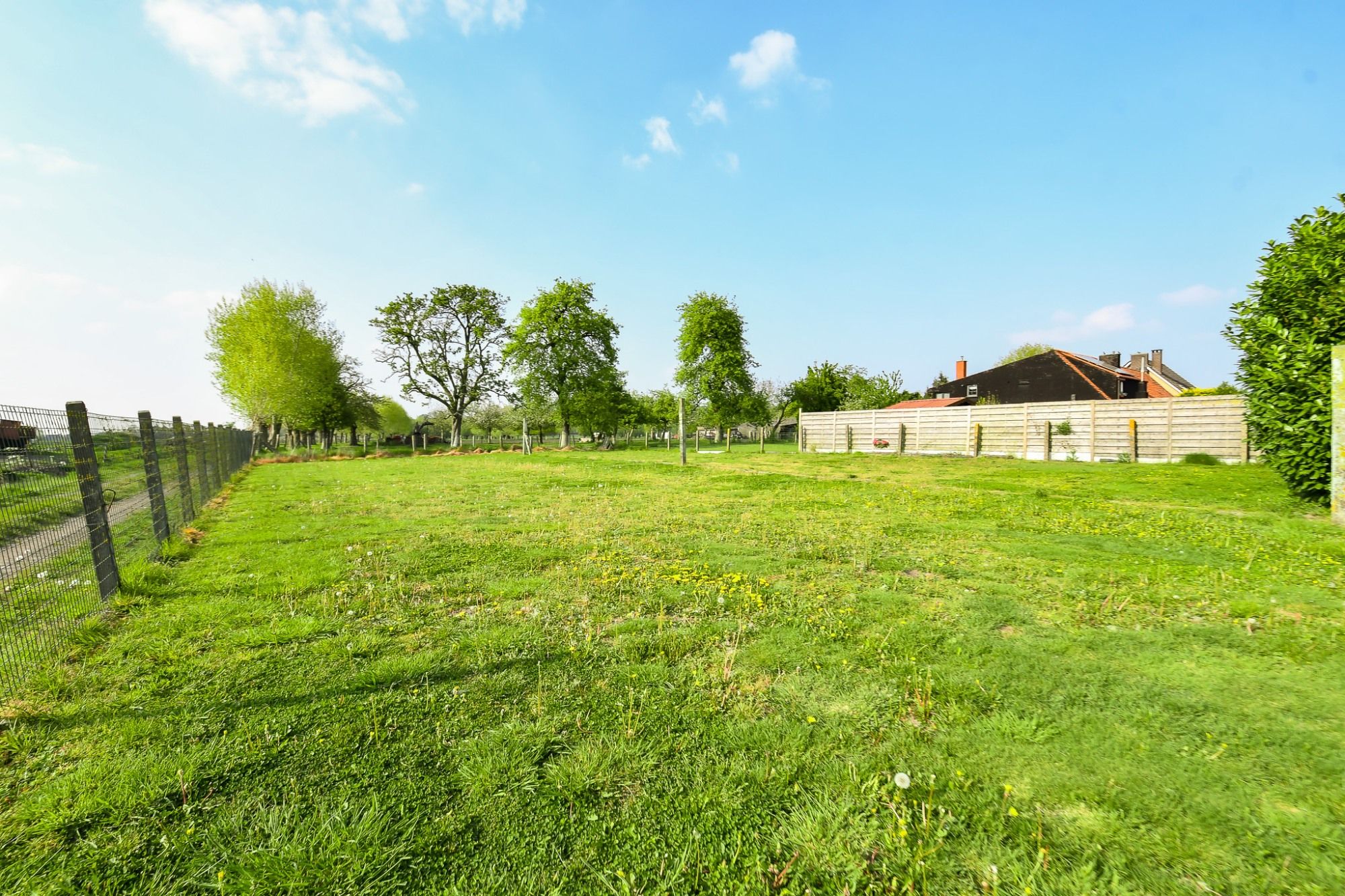 UITERST LANDELIJK EN IDYLLISCH GELEGEN VOLLEDIG TE RENOVEREN WONING met LOODS foto 5
