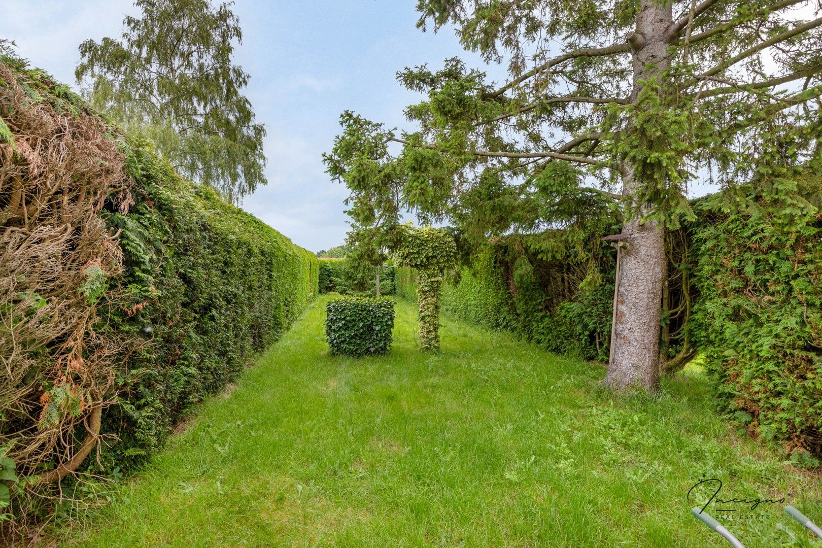 Karaktervolle renovatie woning met veel potentieel foto 26