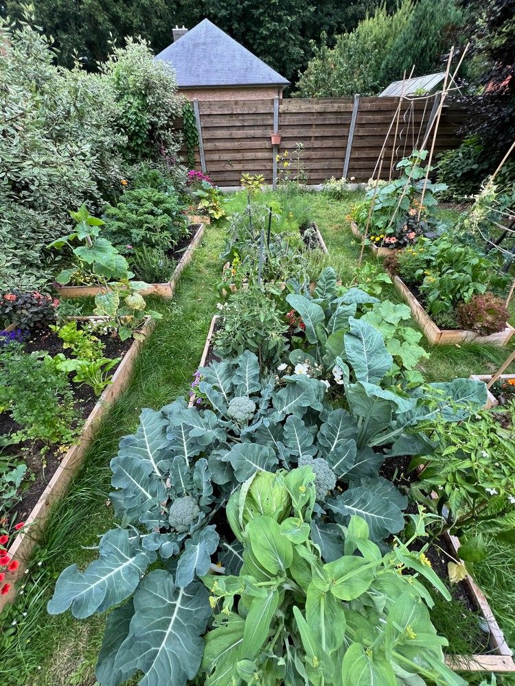 Unieke energiezuinige HOB met 3 SLPKS en grote tuin in een rustige straat in Wijnegem! foto 23