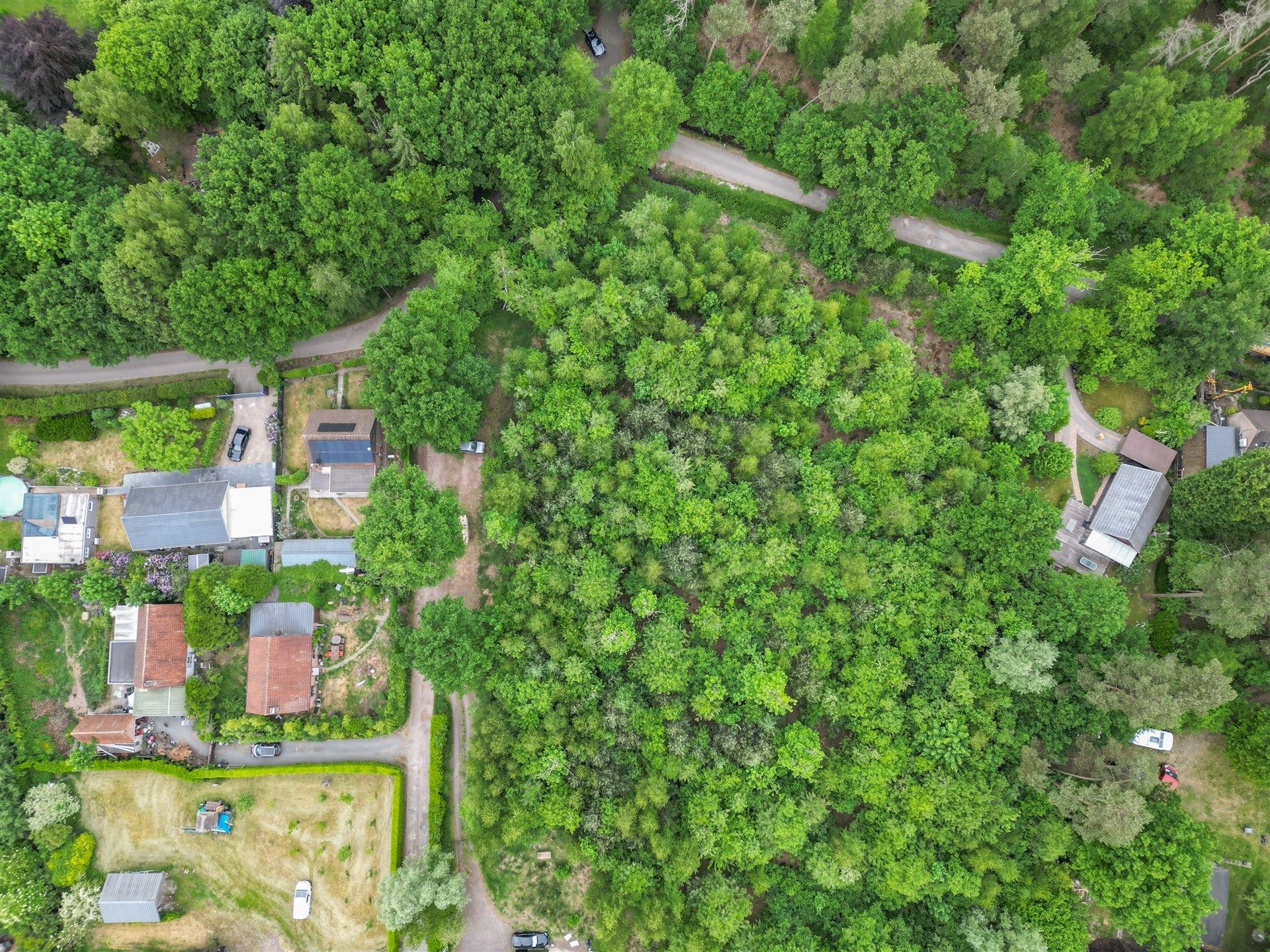 Goed gelegen bos van 2091m² foto 3