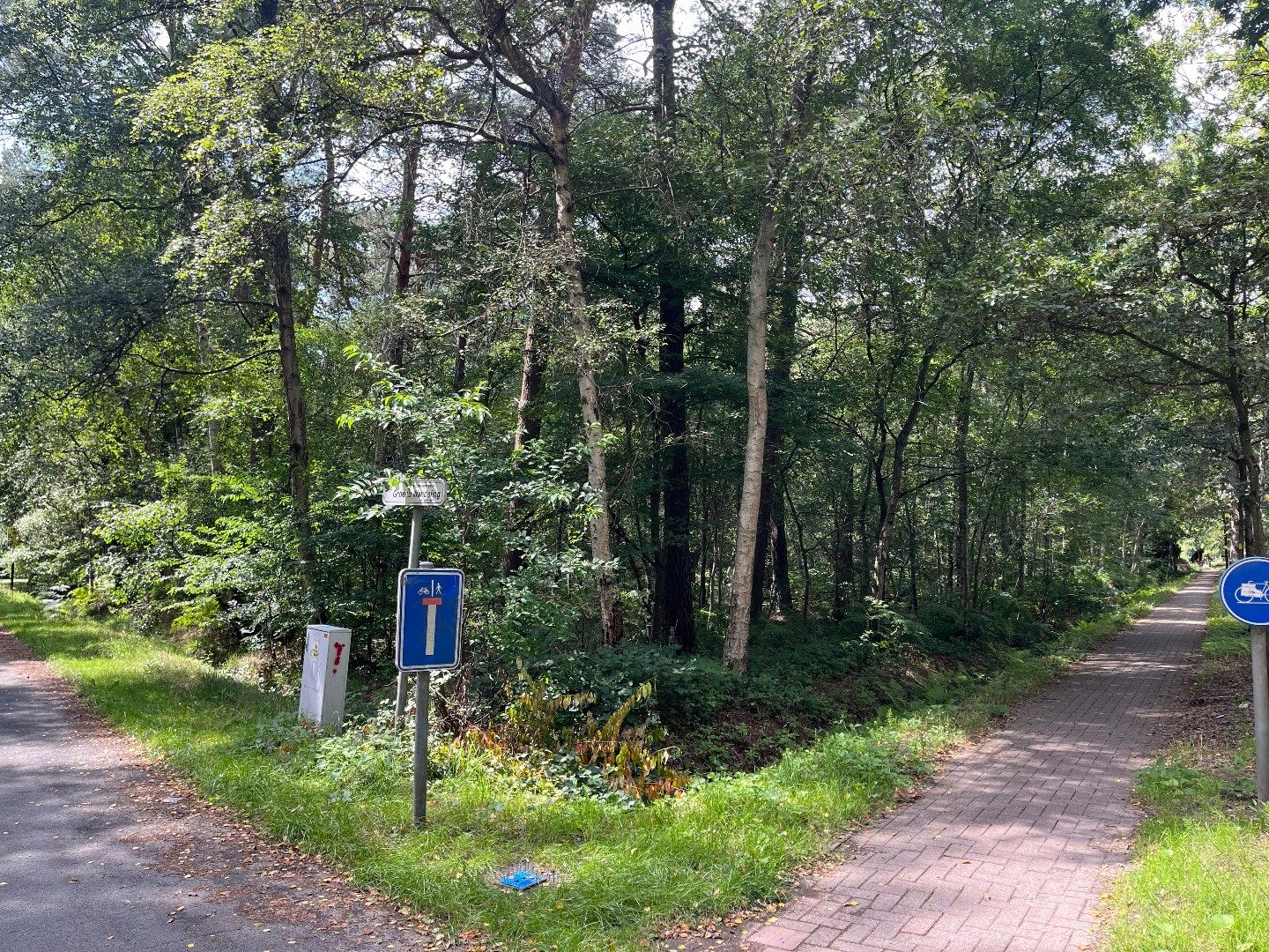 Uitgestrekt natuurgebied op een uitstekende locatie te Schilde! foto 5