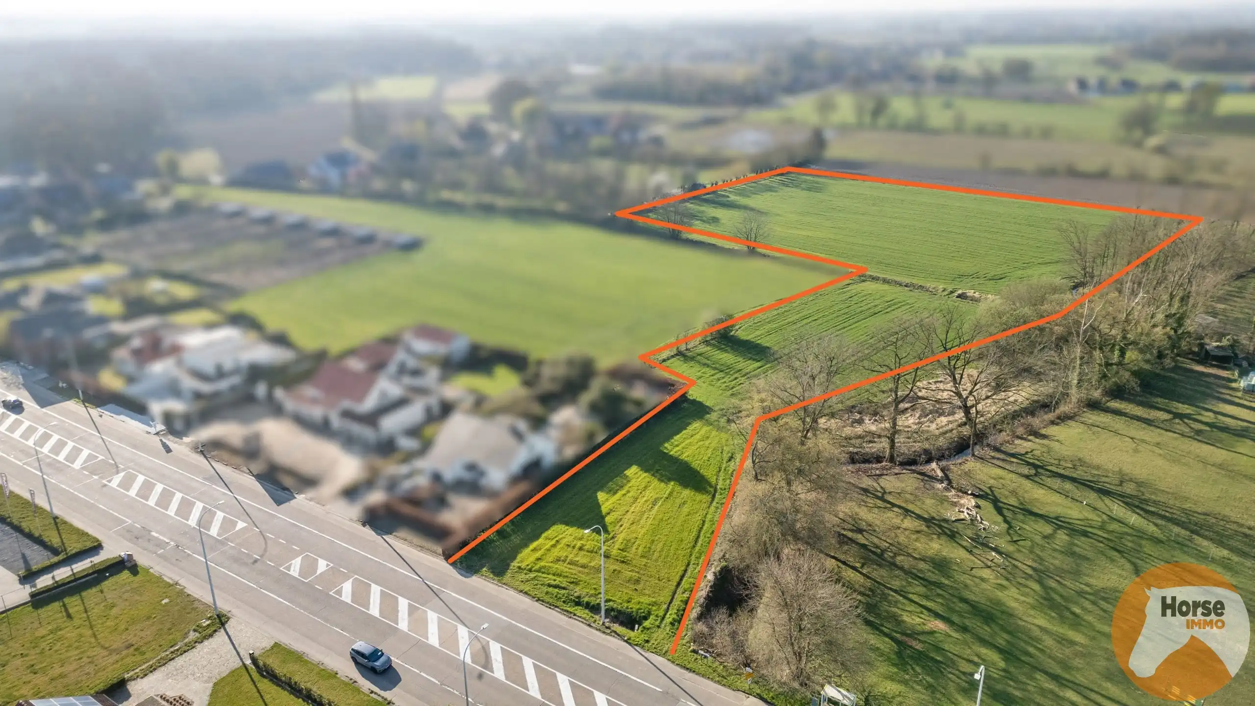 HASSELT-Mooi perceel bouwgrond voor open bebouwing en weide foto 3