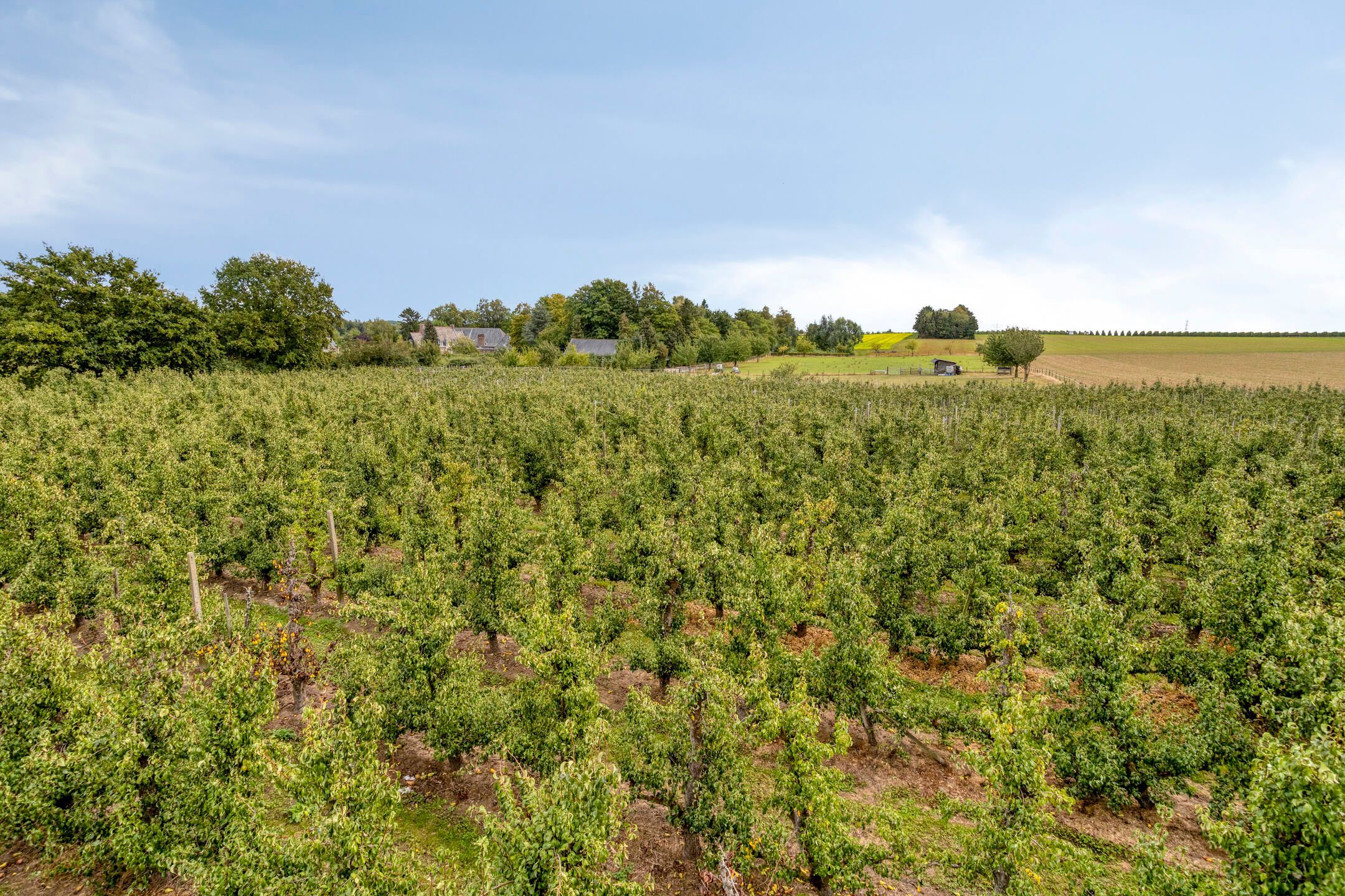 Compromis in opmaak!/Under contract / Sous compromis de vente! / foto 29