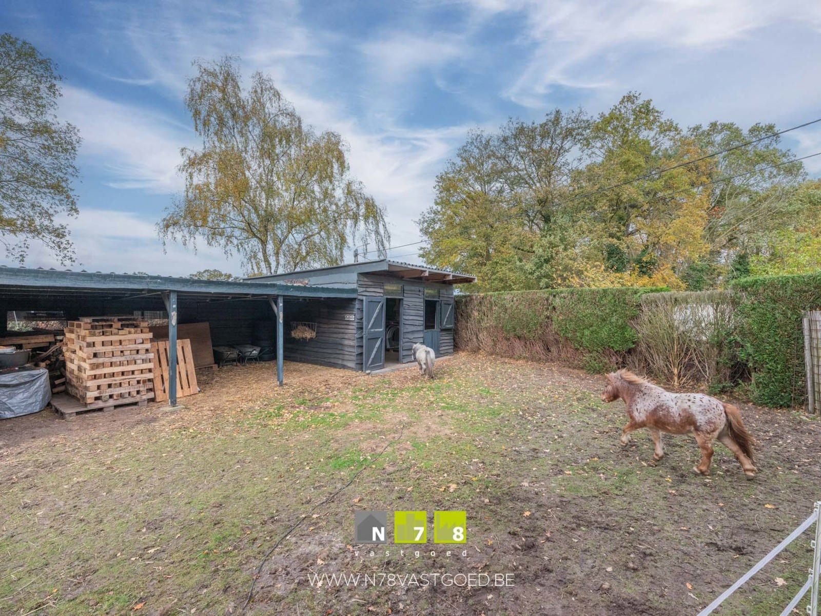 Huis te koop foto 22