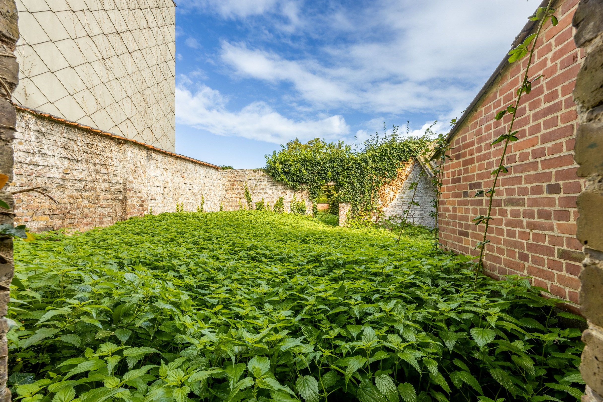 CENTRAAL GELEGEN HANDELSPAND MET TAL VAN MOGELIJKHEDEN IN ZWEVEGEM! foto 12