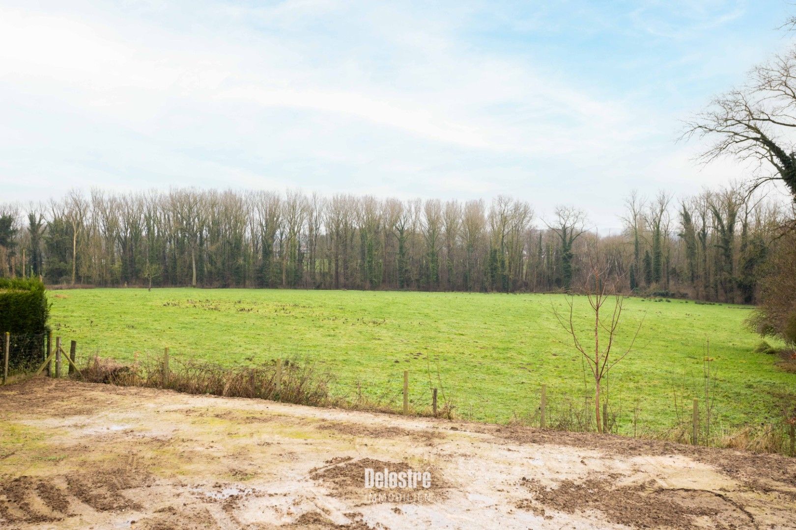 TWEE ENERGIEZUINIGE NIEUWBOUWWONINGEN  foto 57