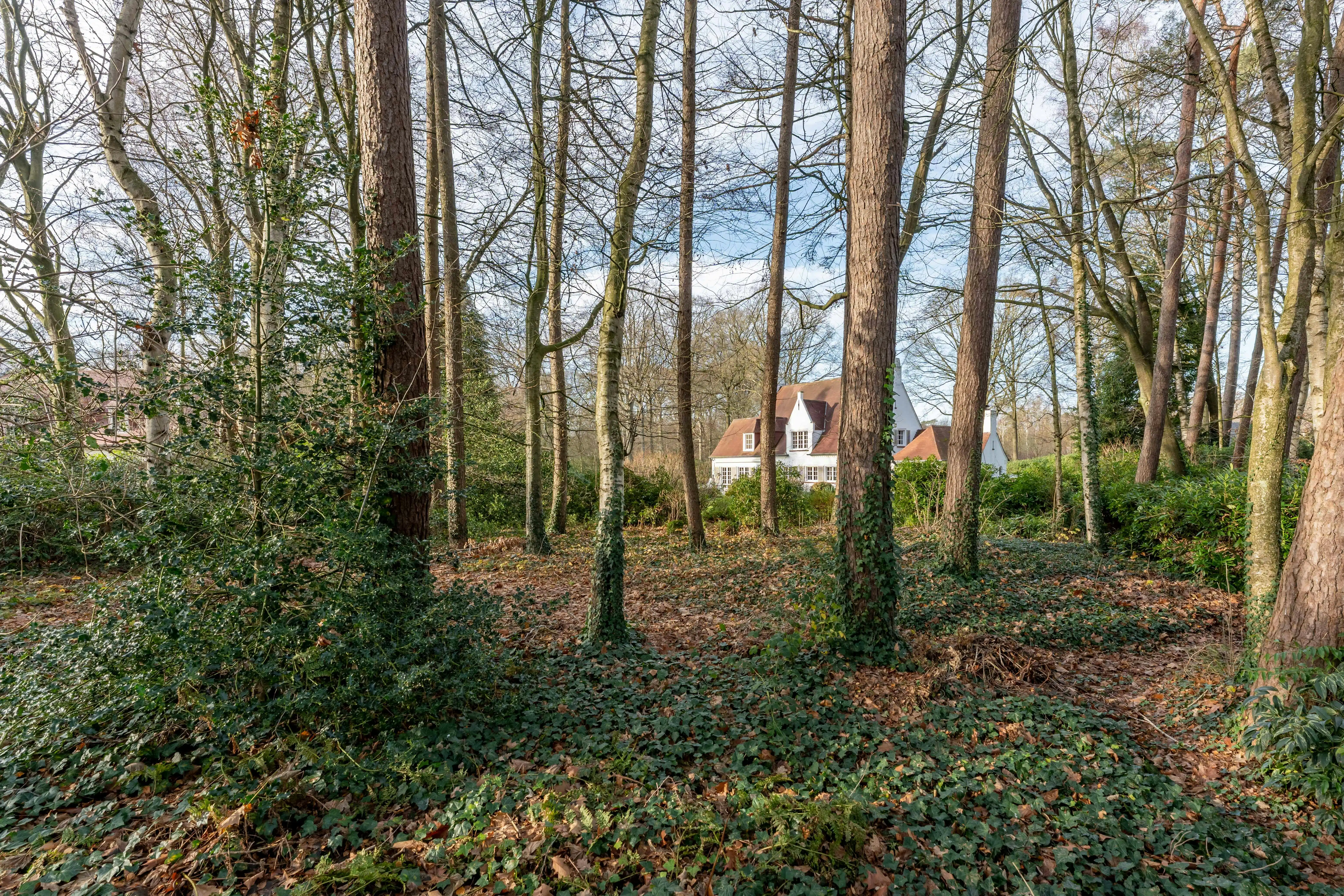 Klassieke villa te koop gelegen in het Waaroostpark  foto 15