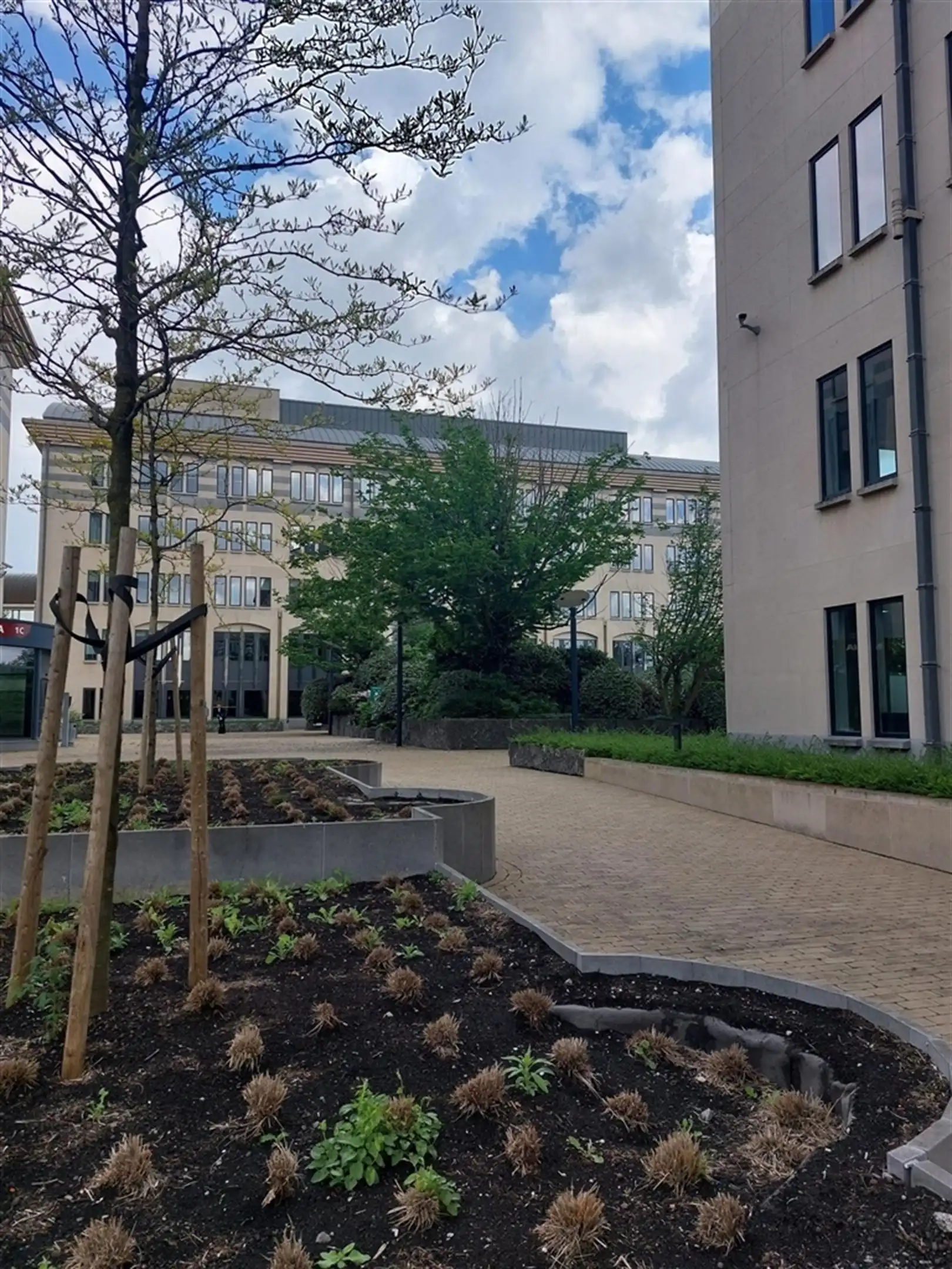 TWIN SQUARES - 984m² instapklaar foto 2