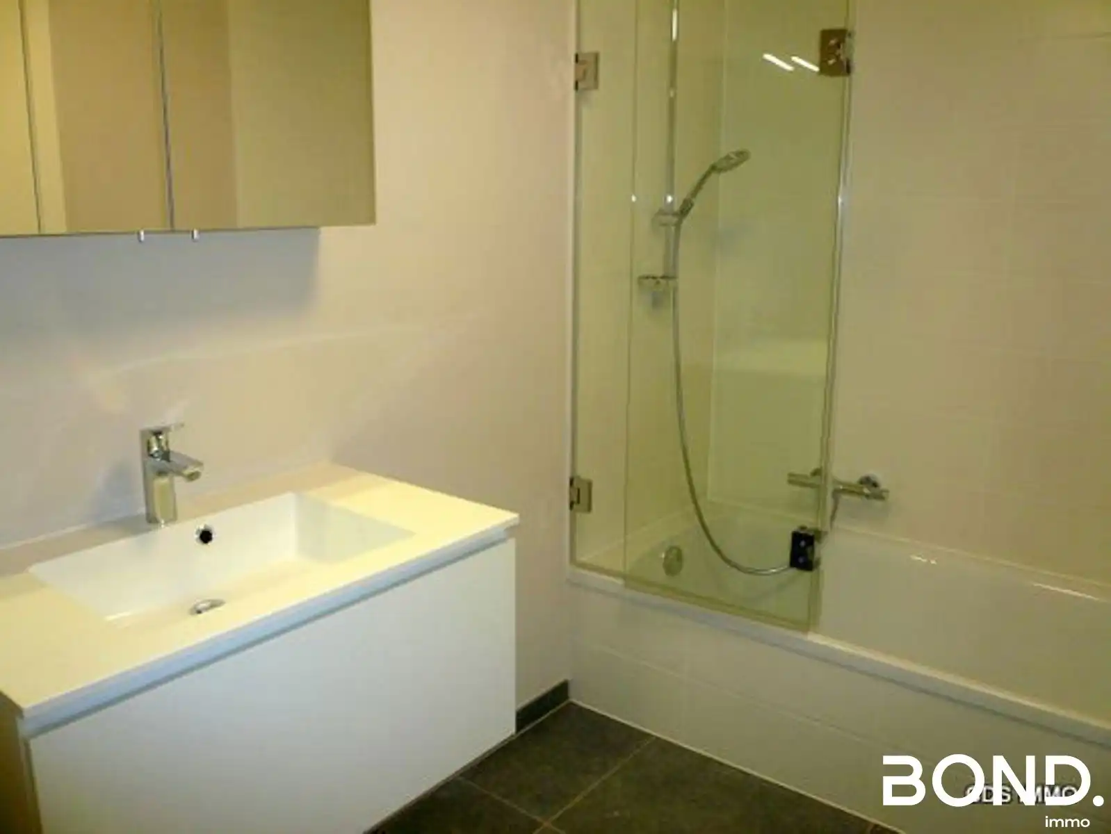1 slaapkamer appartement te huur in Tielt-Winge foto 6