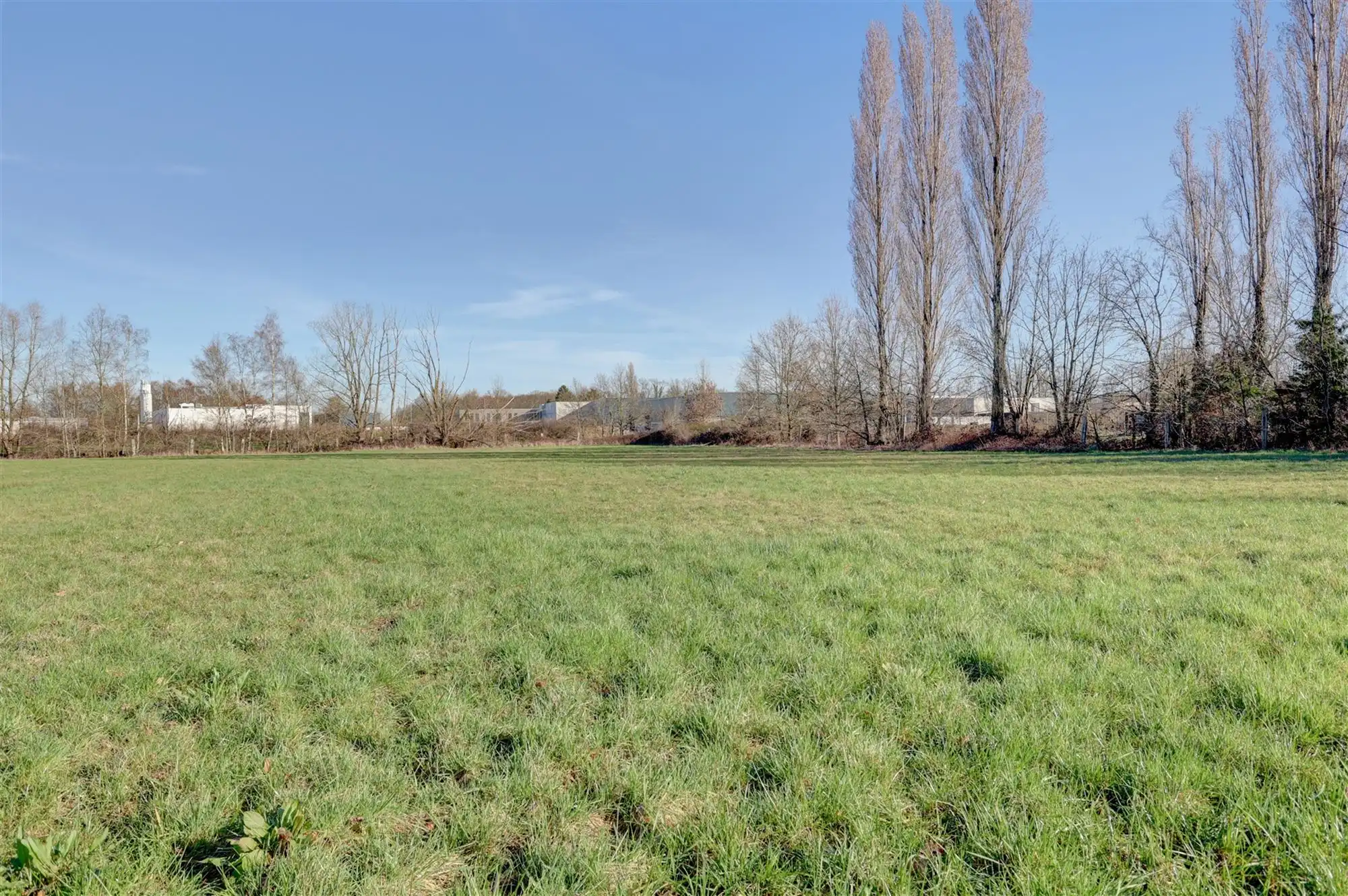 Idyllische paardenweide / bosgrond in Bonheiden foto 5