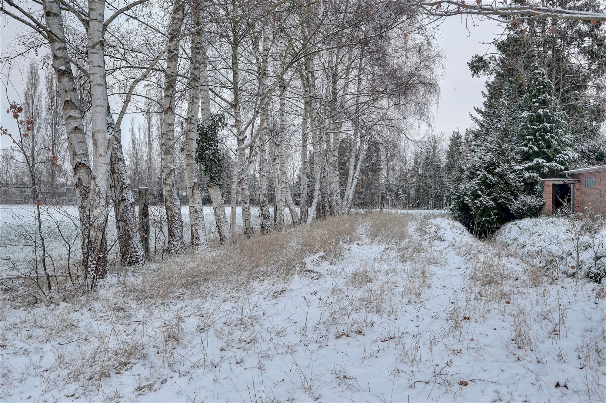 Idyllische paardenweide / bosgrond in Bonheiden foto 5