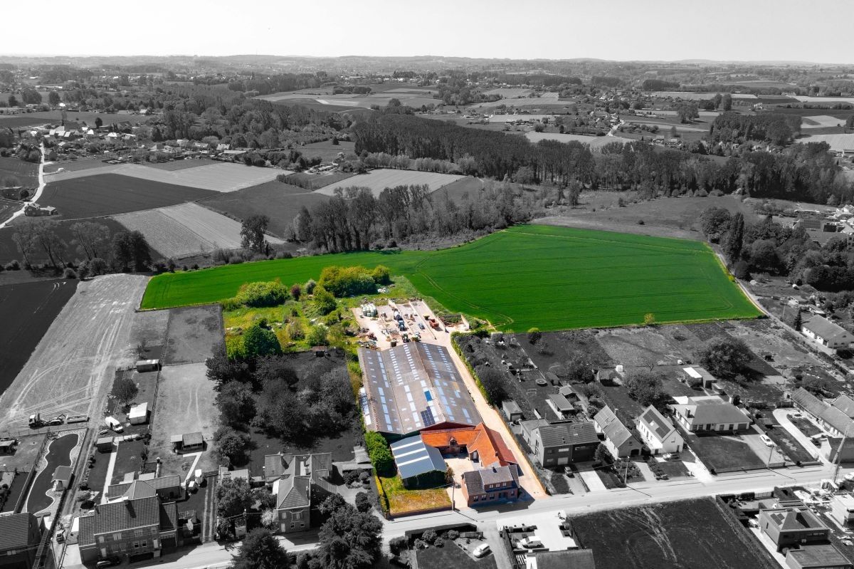 Hoofdfoto van de publicatie: Hoeve met ruime stallen te koop te Zottegem op 4,68 ha