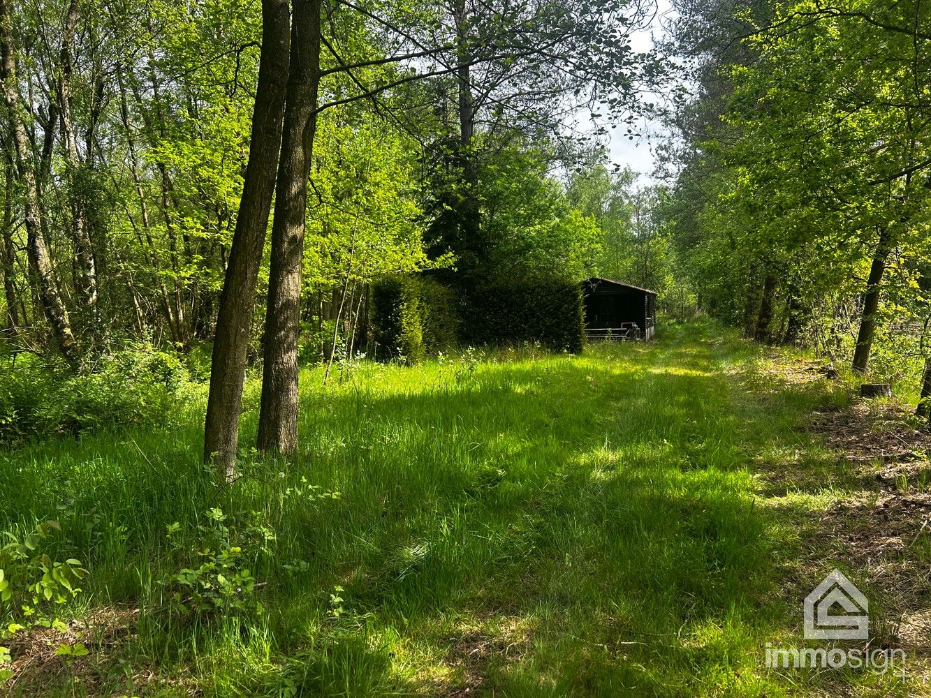 Uniek stukje natuurgebied van 1.470 m² gelegen te Hamont-Achel! foto {{pictureIndex}}