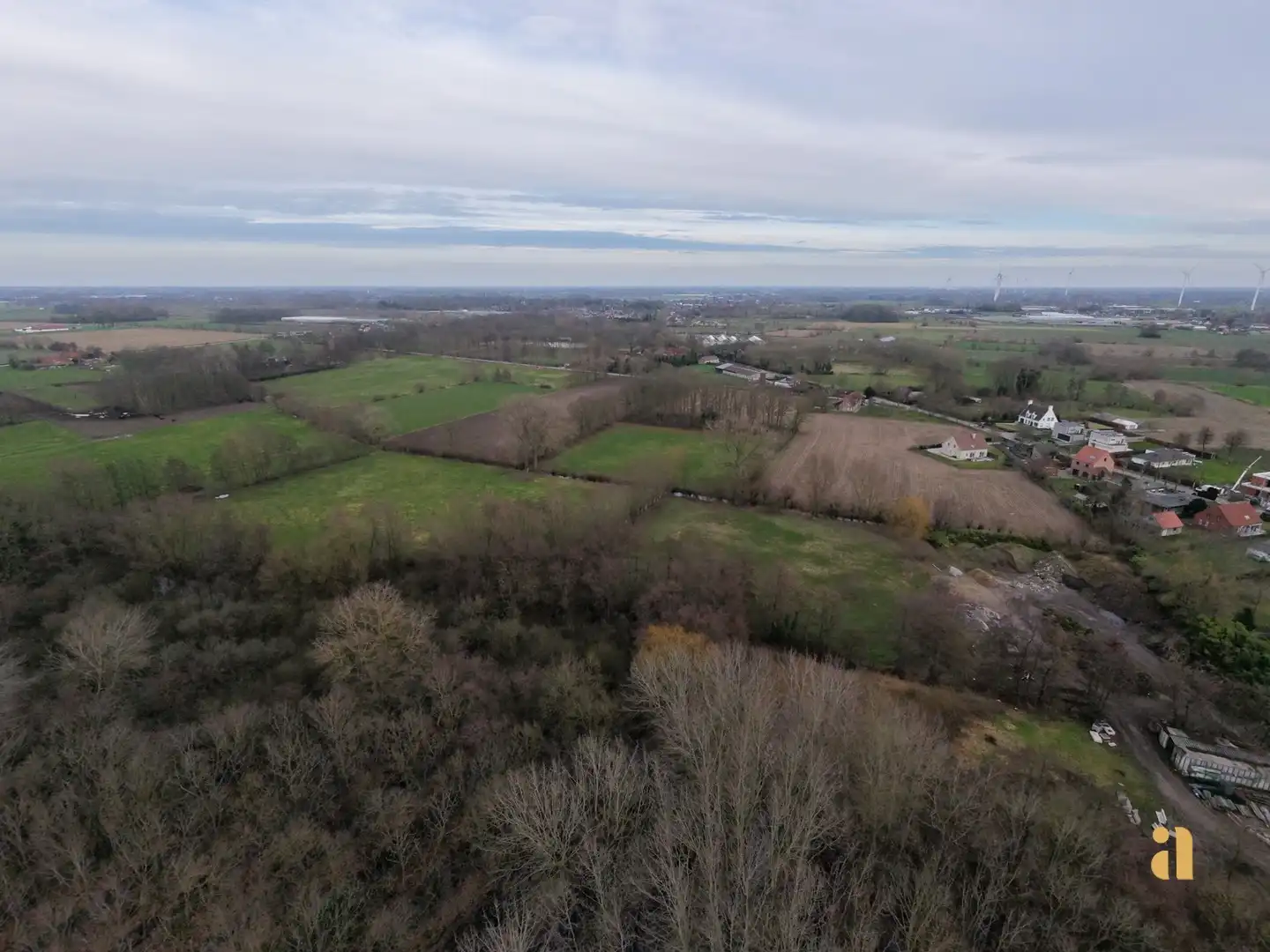 Bosperceel met aangrenzend weiland in landelijke omgeving foto 5