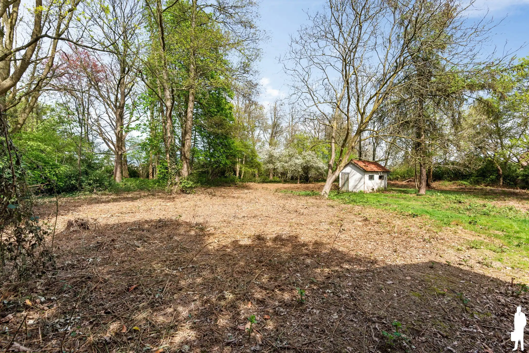 Fantastische bouwgrond (ca6685m²) met prachtige parktuin/bos foto 6