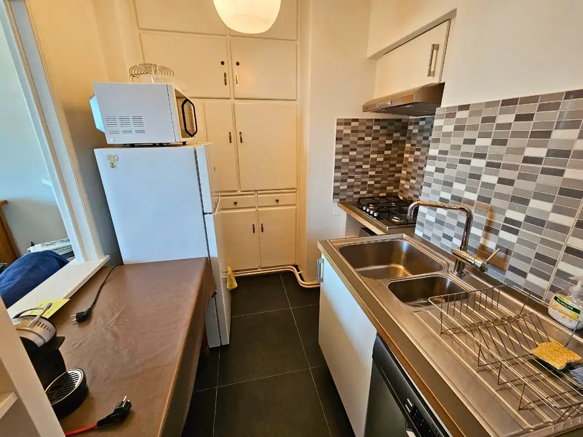 APPARTEMENT MET BREED FRONTAAL ZEEZICHT TE KOOP TE DE PANNE foto 6