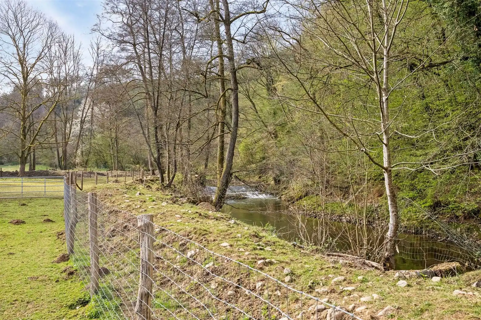 Ruime opbrengsteigendom te koop in Durbuy foto 52