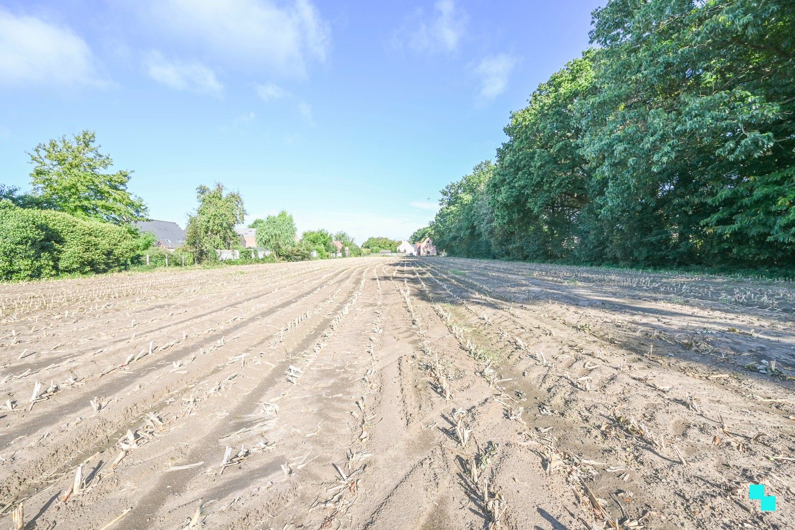 Exclusieve bouwgronden in residentiële laan te Wielsbeke foto 9