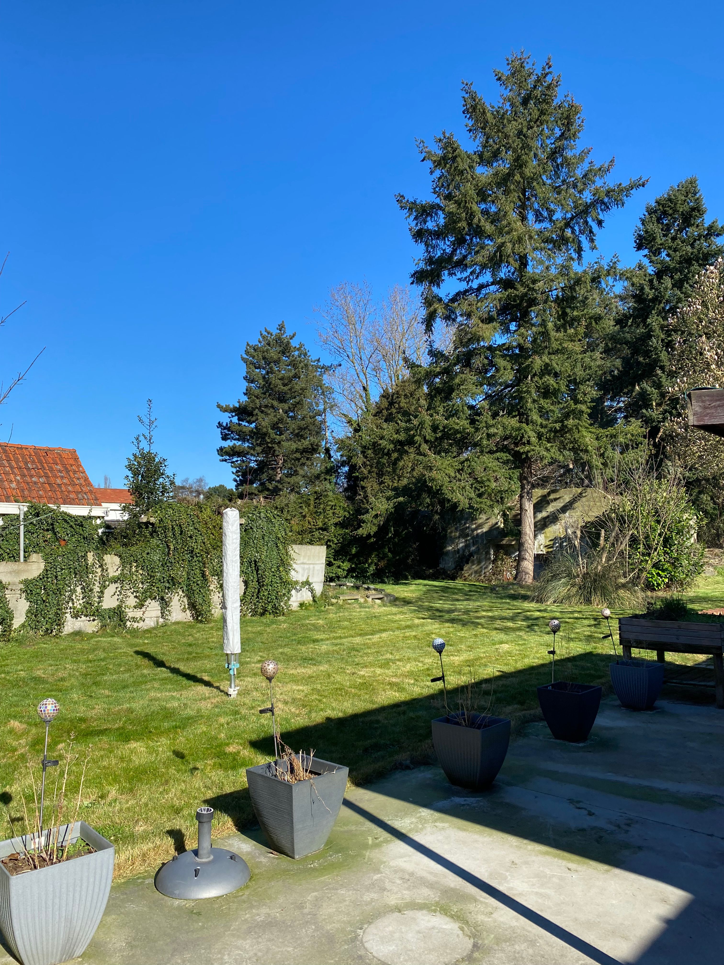 Woning met karakter te koop op een uitgestrekt perceel van 3.264m² foto 6