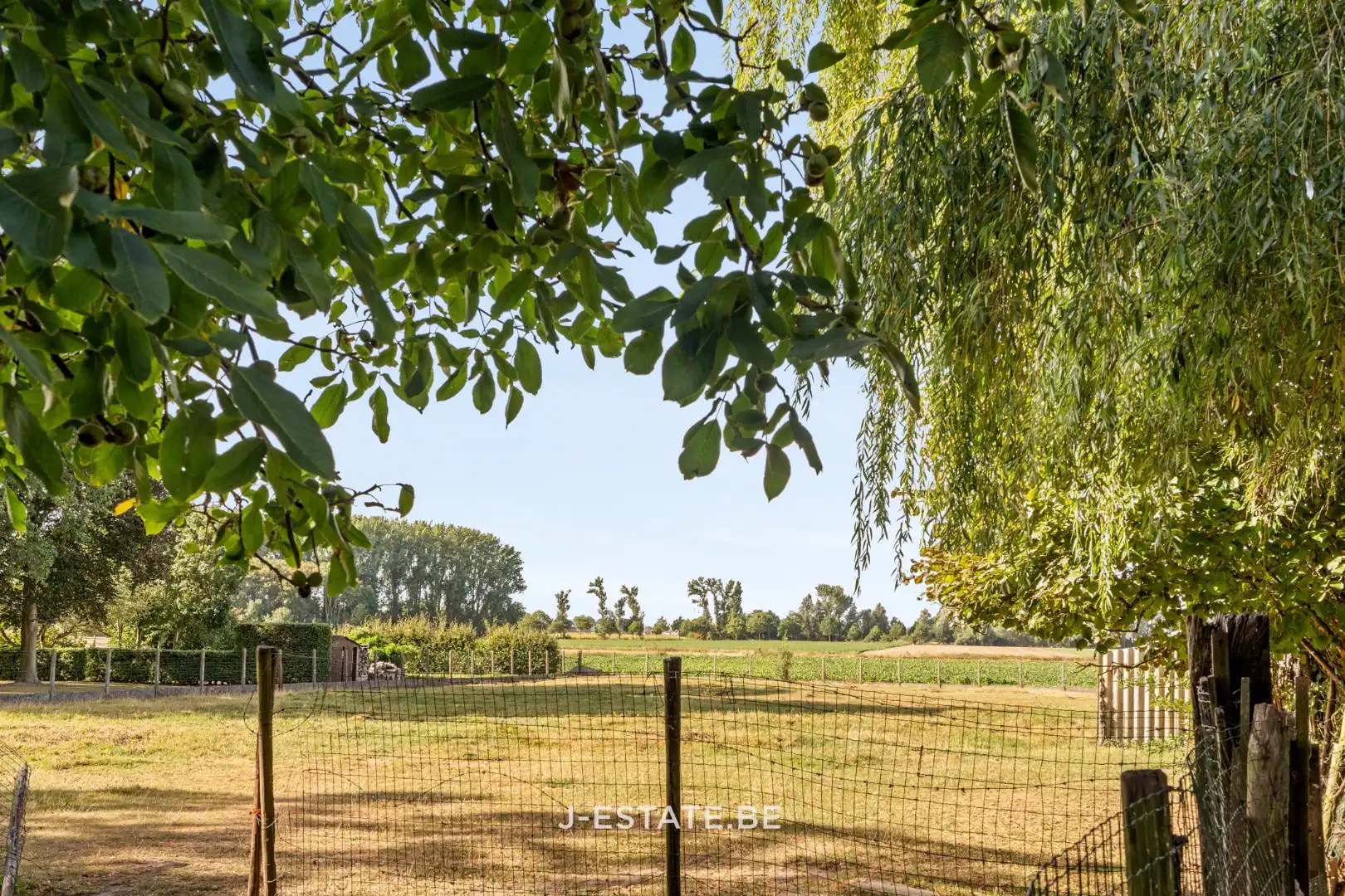 Authentieke vierkantshoeve met binnenplaats, bijgebouwen en prachtig uitzicht foto 18