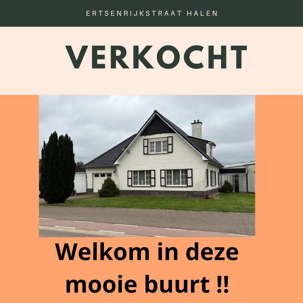 Commercieel te koop foto {{pictureIndex}}