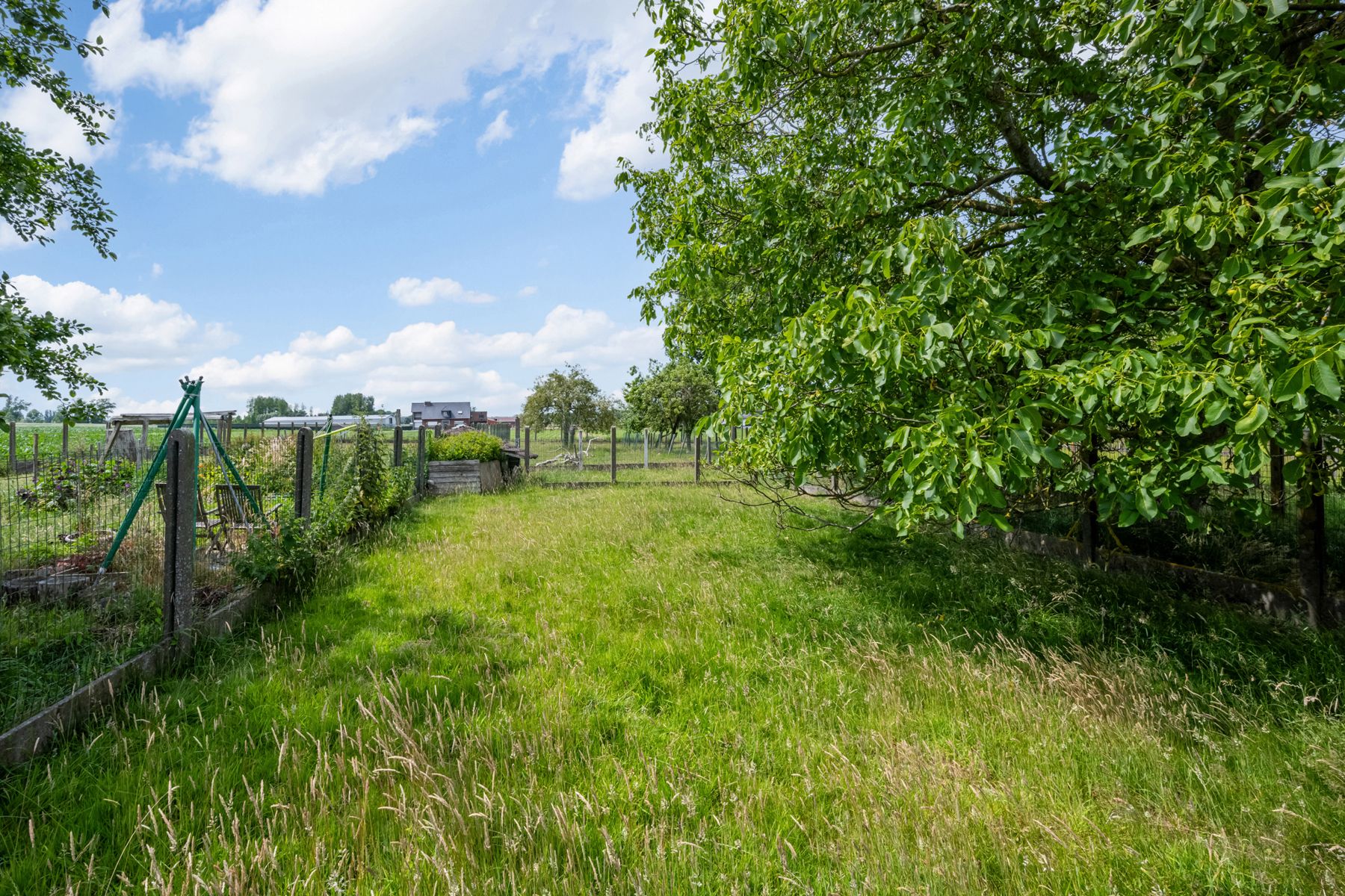 Ruime open bebouwing met prachtig zicht op natuur foto 25