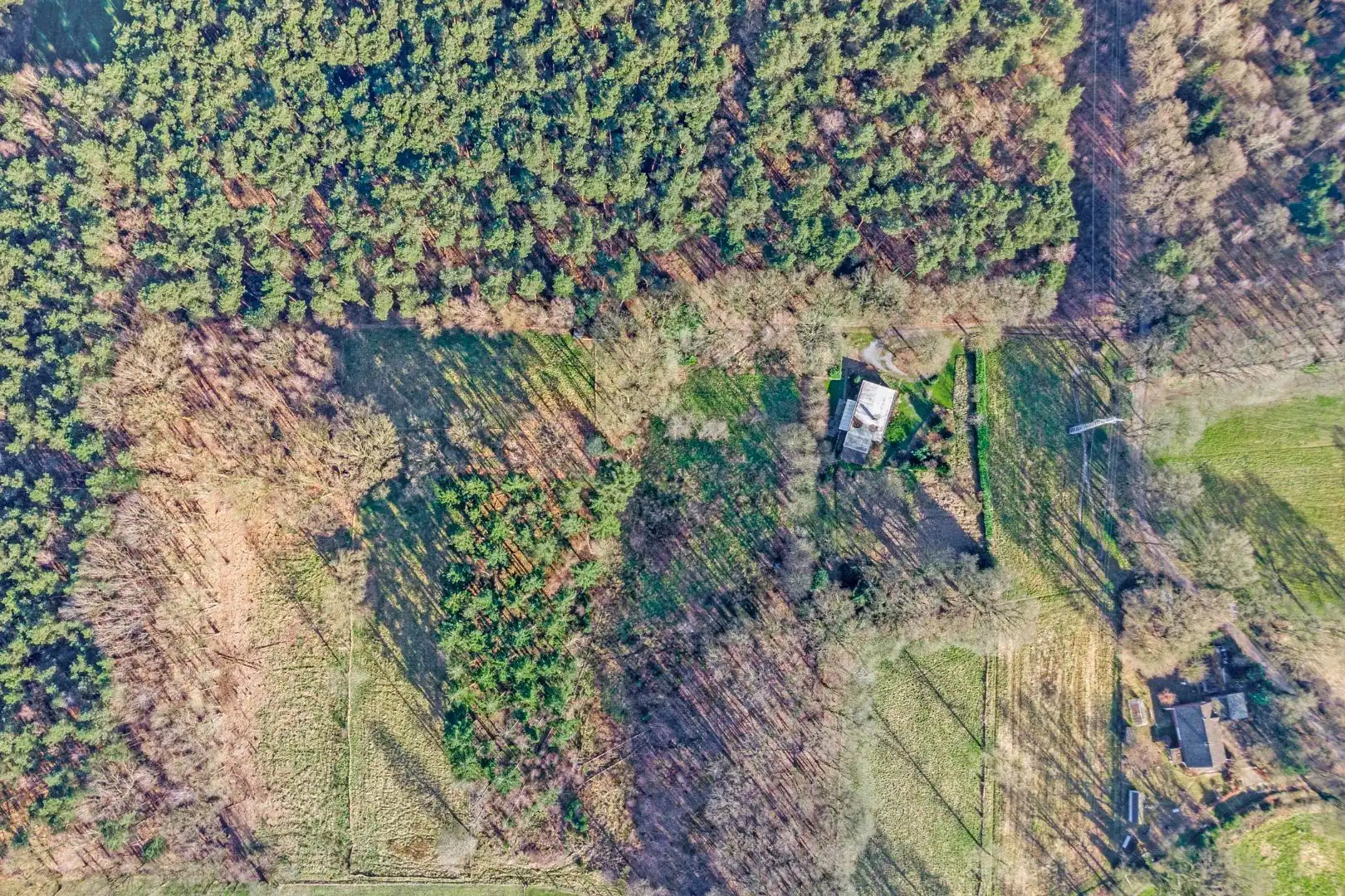 Unieke woonst op 13 hectare: rust, natuur en eindeloze mogelijkheden! foto 40