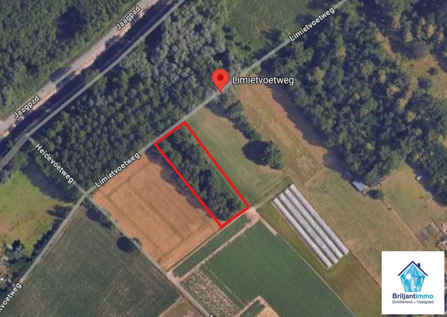 Perceel bosgrond van 2620 m² gelegen in Weerde/Zemst foto {{pictureIndex}}