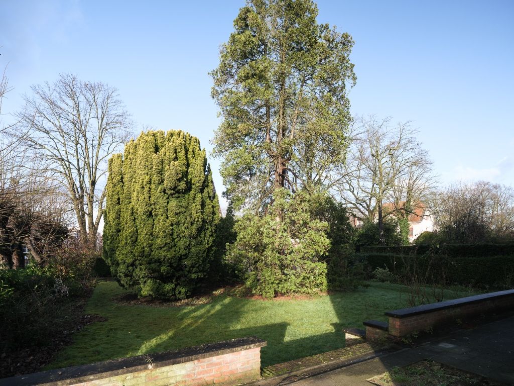 Statige villa op een gunstig hoekperceel in het Miljoenenkwartier foto 2