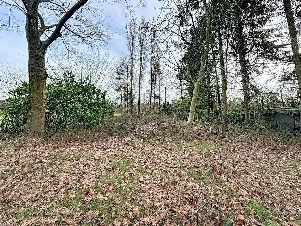 Rustig gelegen grond (997 m²) te koop in Wuustwezel foto 6