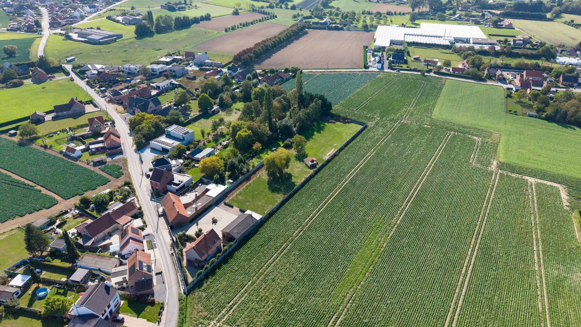 LANDELIJK GELEGEN WONING MET MAGAZIJN EN APARTE STUDIO foto 9