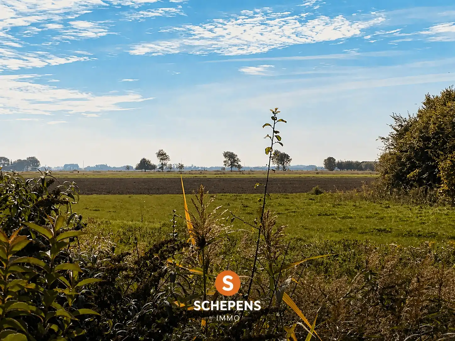 Hoofdfoto van de publicatie: Charmante gerenoveerde visserswoning met zongerichte tuin en open zicht op de polders 🌾