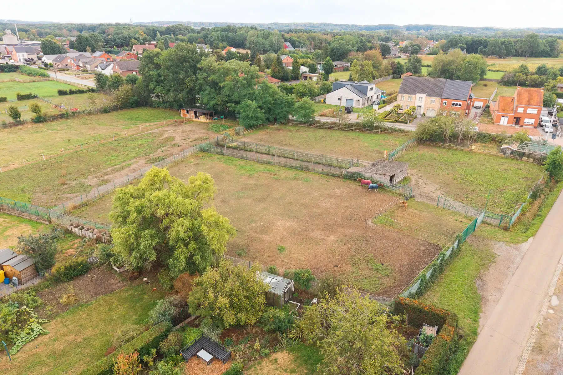 Prachtige weides op toplocatie in Betekom foto 8