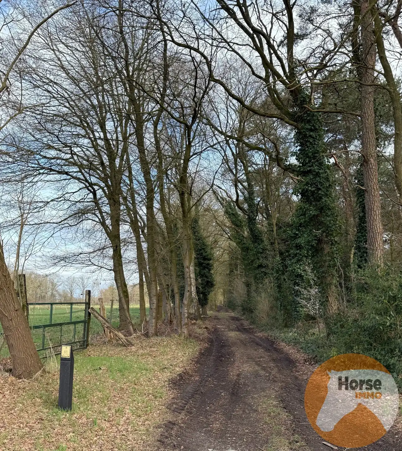 HELCHTEREN - Weiland met schuilstallen nabij ruiterpaden foto 7