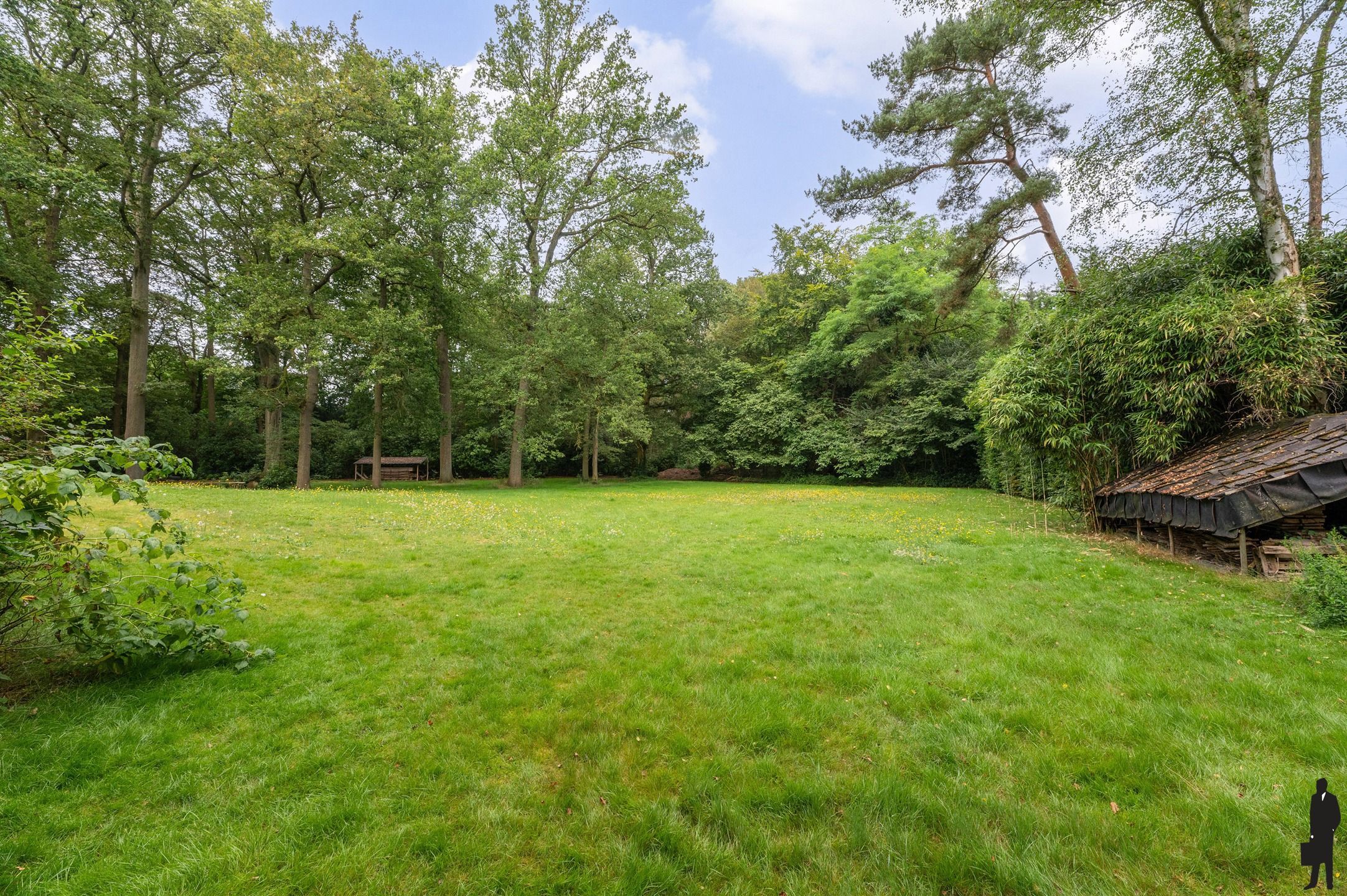 Op Domein Bellenhof, karaktervolle volledig te renoveren villa met prachtige parktuin met oude bomenstand.  A-label mogelijk tot 82kWh! foto 19