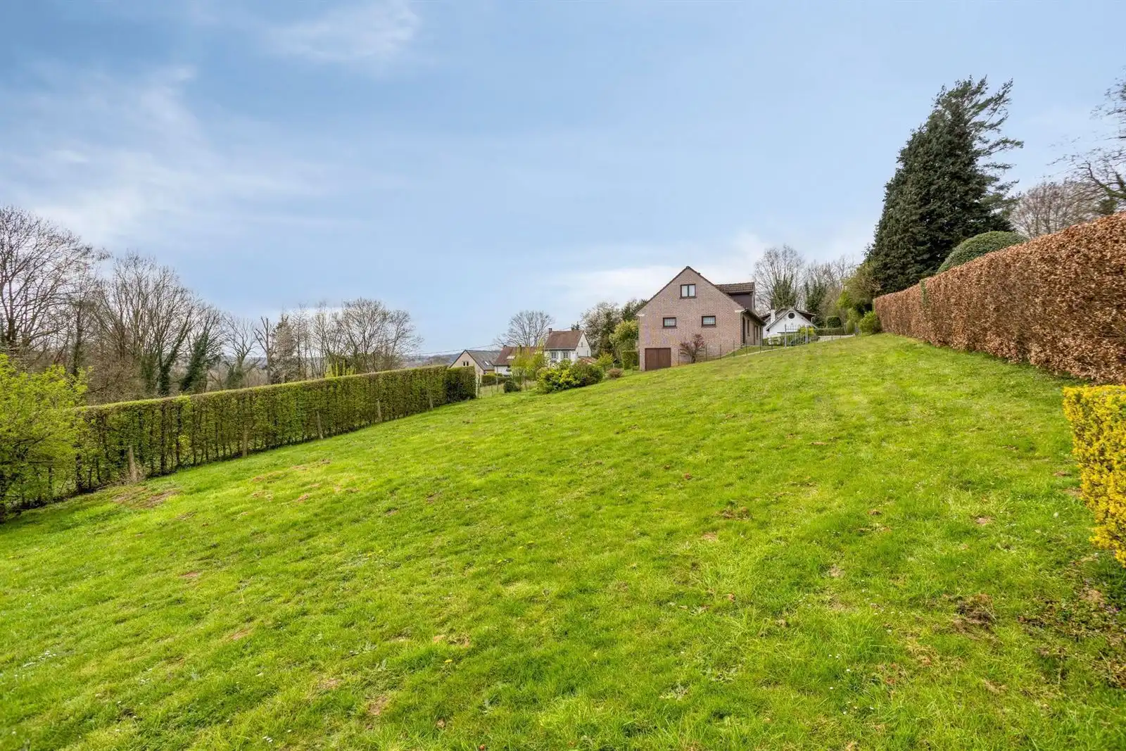 Rustig gelegen woning te Dworp foto 4