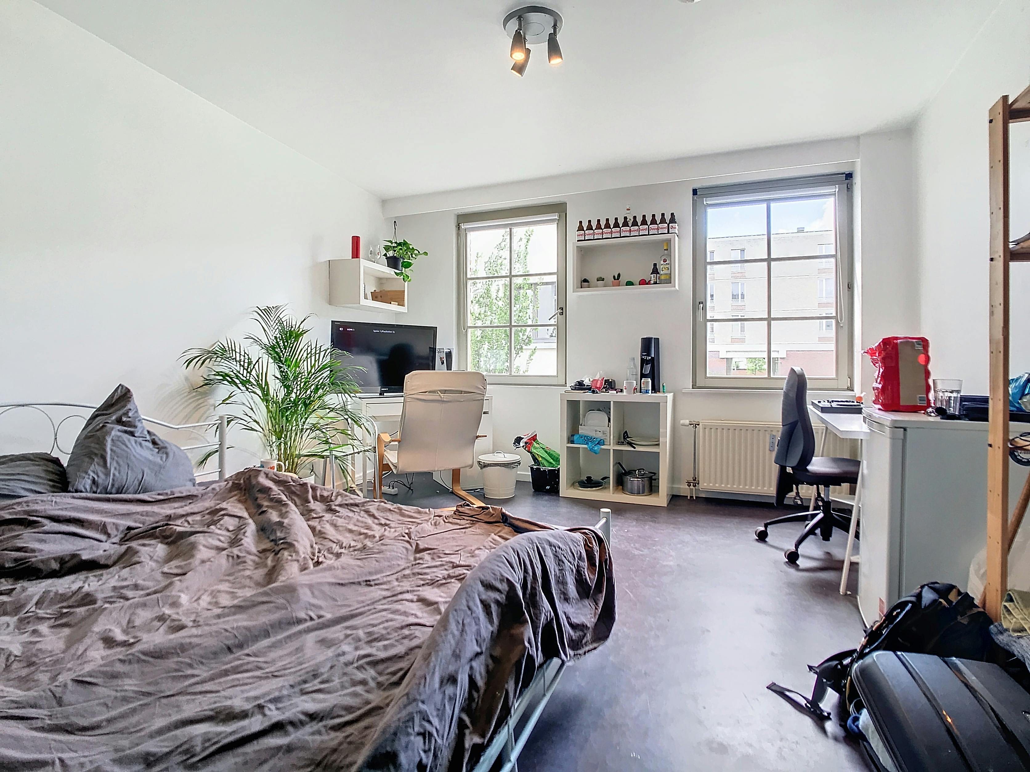 ()=>{if(producerUpdateValueVersion(node),producerAccessed(node),node.value===ERRORED)throw node.error;return node.value} Generaal Belliardstraat 27/studio 4 - 2000 Antwerpen