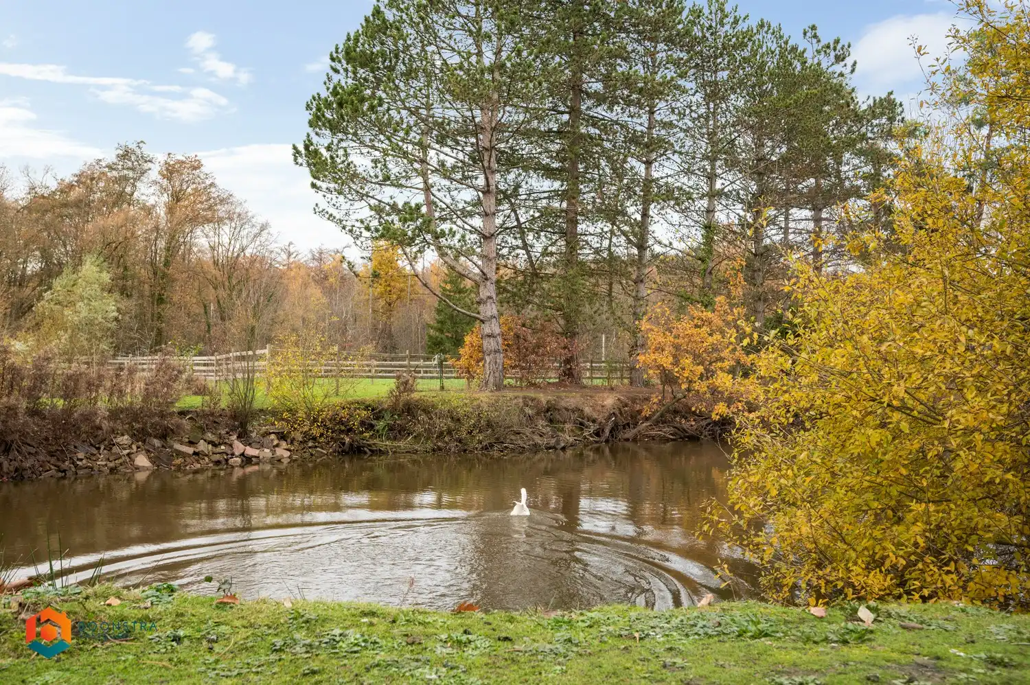 Te renoveren woning met 4 slpkrs en magazijn van 360m² op ruim perceel van 5730m² foto 24