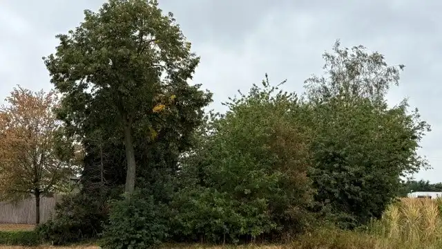 Bouwgrond voor open bebouwing foto 4