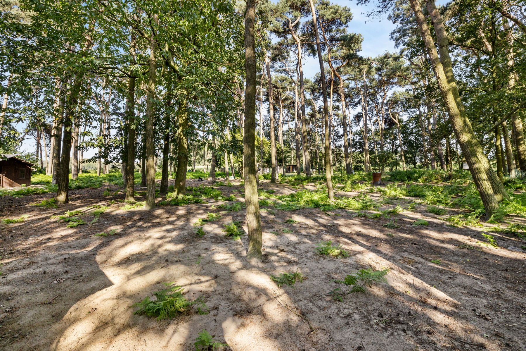 Uniek recreatieperceel van 3.740m² met extra's foto 5